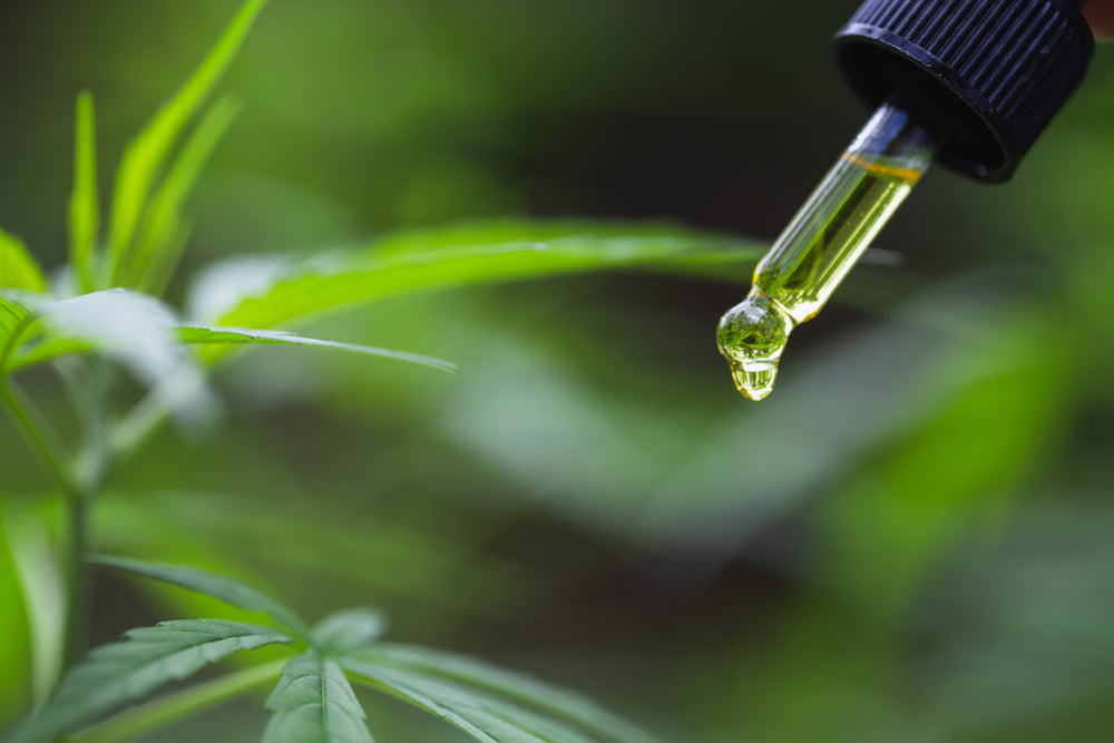 6 Benefits and Uses of CBD Oil (Plus Side Effects)