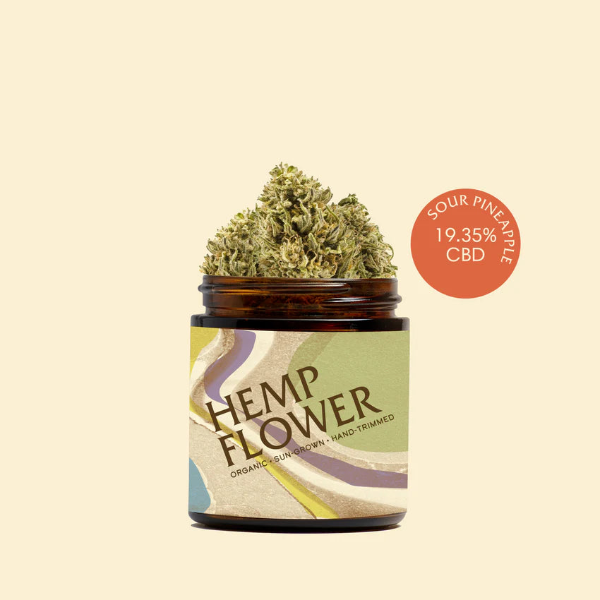 Barbari CBD Hemp Flower | Sour Pineapple 7g