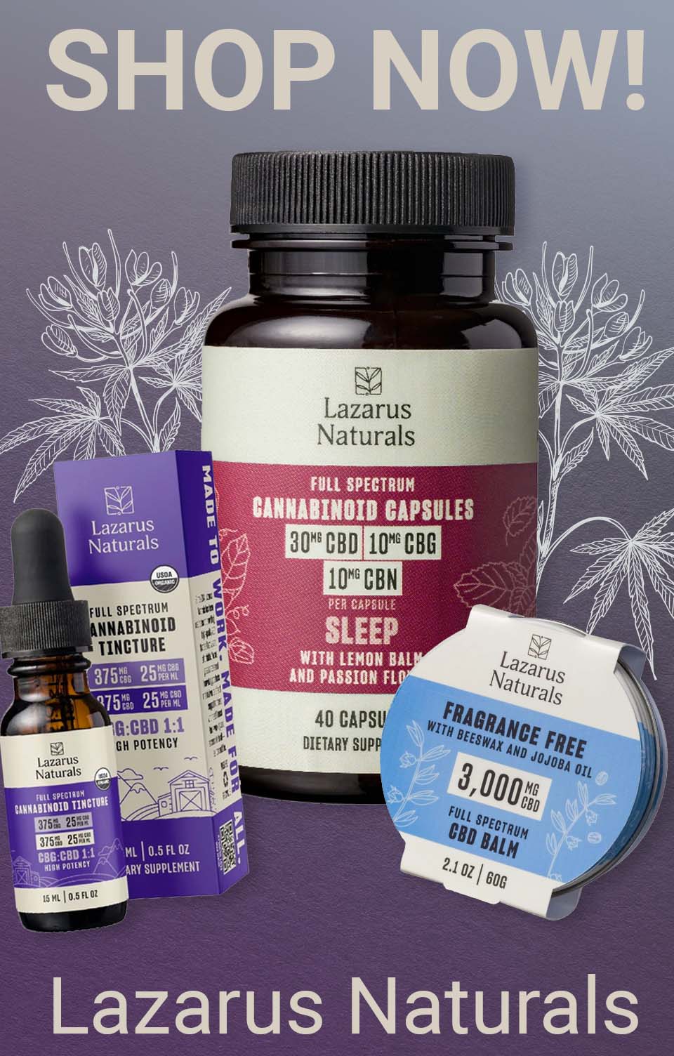 Collection page banner